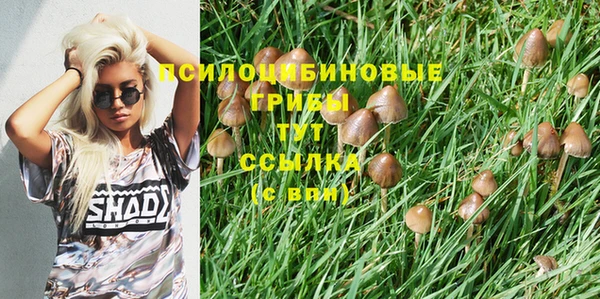 дмт Балахна